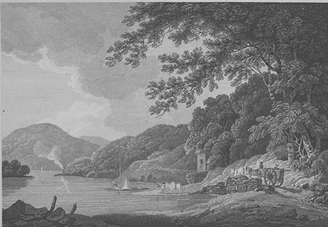 VIEW ON THE RIVER TAMAR